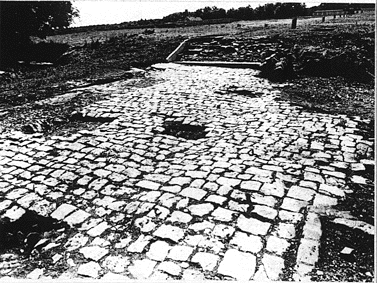 Bild: Verfallene Lagerstr. in KZ Buchenwald