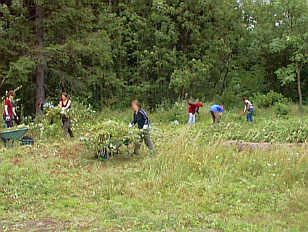Bild: Gruppe bei der Arbeit am Bahndamm