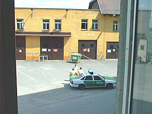 Bild: Bullen machen ein "Schw&auml;tzchen" vorm Campgel&auml;nde