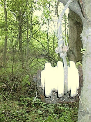 Bild: Isolator des elektrischen Todeszauns der Gustloffwerke